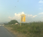 Bus Stop Italia
